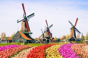 the beauty of the Netherlands